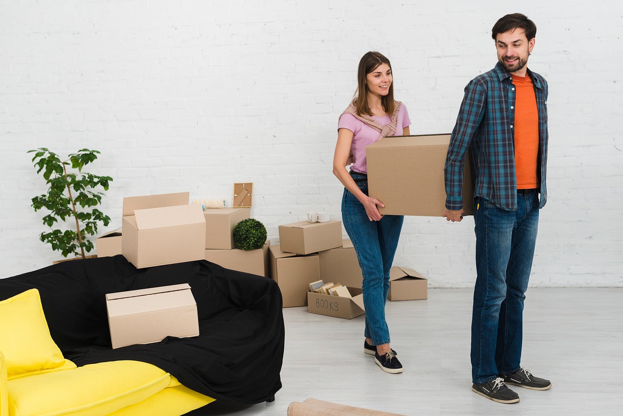 Monsieur bricolage : les conseils essentiels pour réussir vos projets en 2025 découvrez des conseils pratiques, idées de rénovation et inspirations pour améliorer votre maison. tout sur l’aménagement, la décoration et l’entretien de votre intérieur et extérieur.