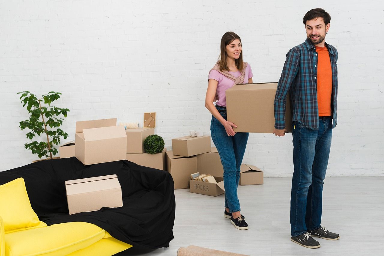Monsieur bricolage : les conseils essentiels pour réussir vos projets en 2025 découvrez des conseils pratiques, idées de rénovation et inspirations pour améliorer votre maison. tout sur l’aménagement, la décoration et l’entretien de votre intérieur et extérieur.