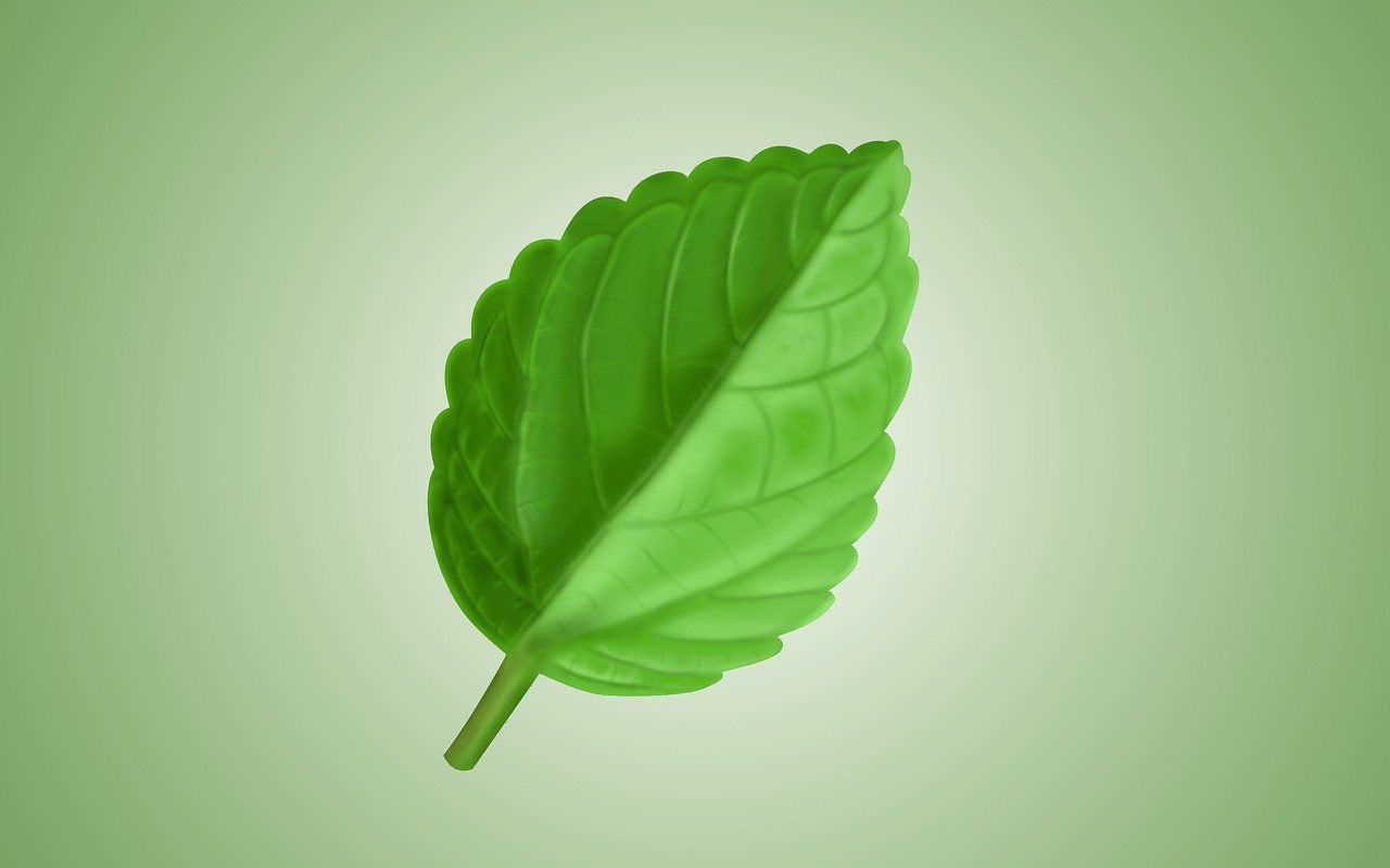 Fabriquer ses produits d'entretien écologiques pour l'atelier découvrez nos produits de nettoyage écologiques, efficaces et sans produits chimiques nocifs, pour un intérieur propre et respectueux de l'environnement.
