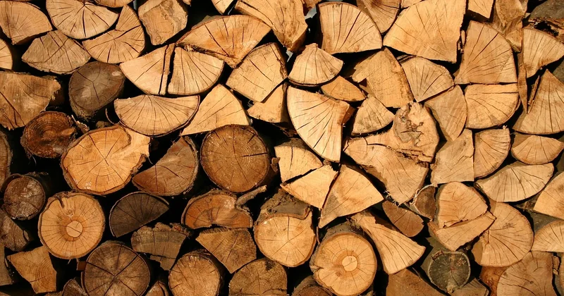 Impact environnemental et certifications : ce que valent vraiment les labels